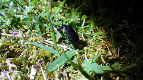 c0337631_09135030.jpg