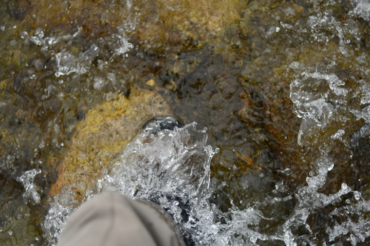 c0133133_16484712.jpg
