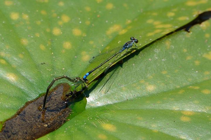 b0191934_23335331.jpg