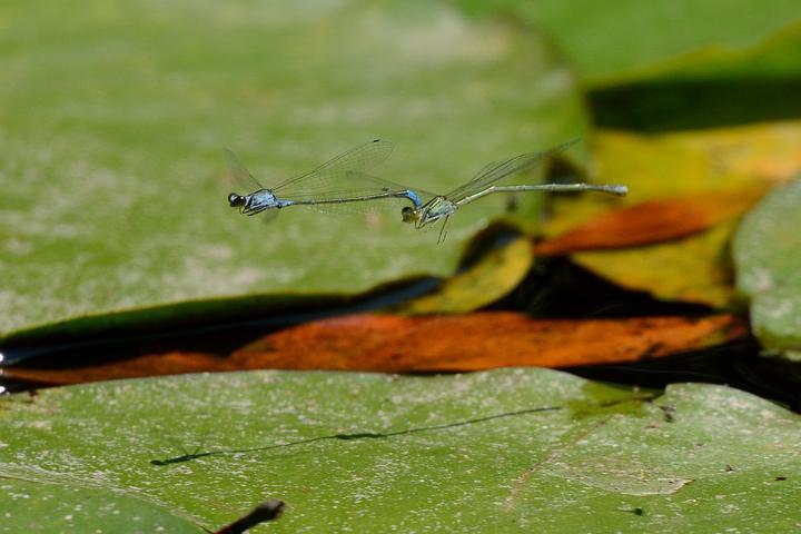 b0191934_23342295.jpg