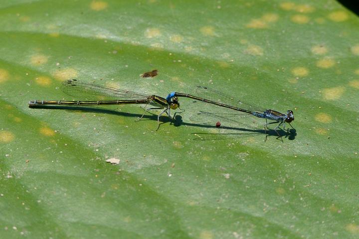 b0191934_23343249.jpg