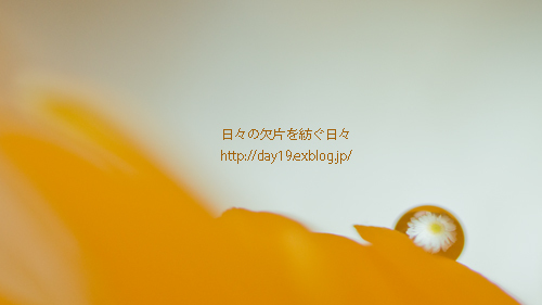 a0323742_00165412.jpg
