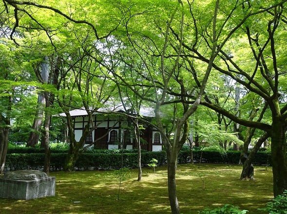 b0299042_14060897.jpg