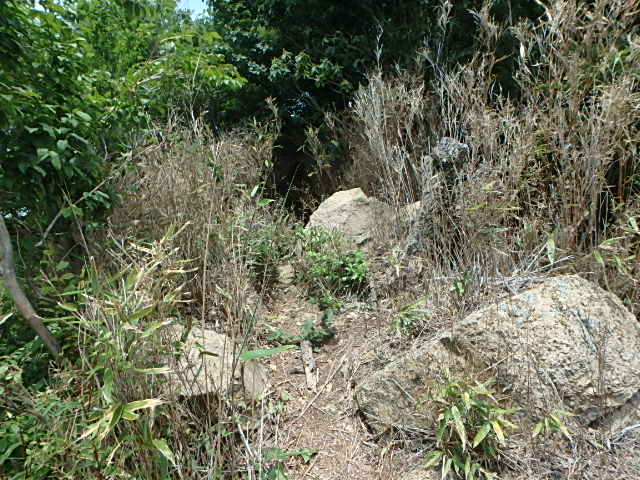 f0334143_18472586.jpg