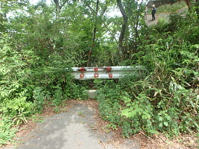 f0334143_1847282.jpg