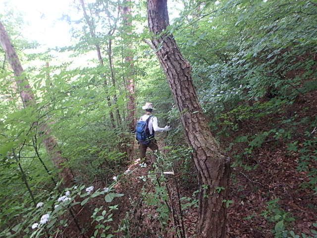 f0334143_18473734.jpg