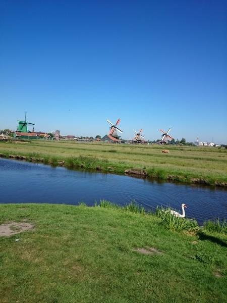 f0320446_02345302.jpg
