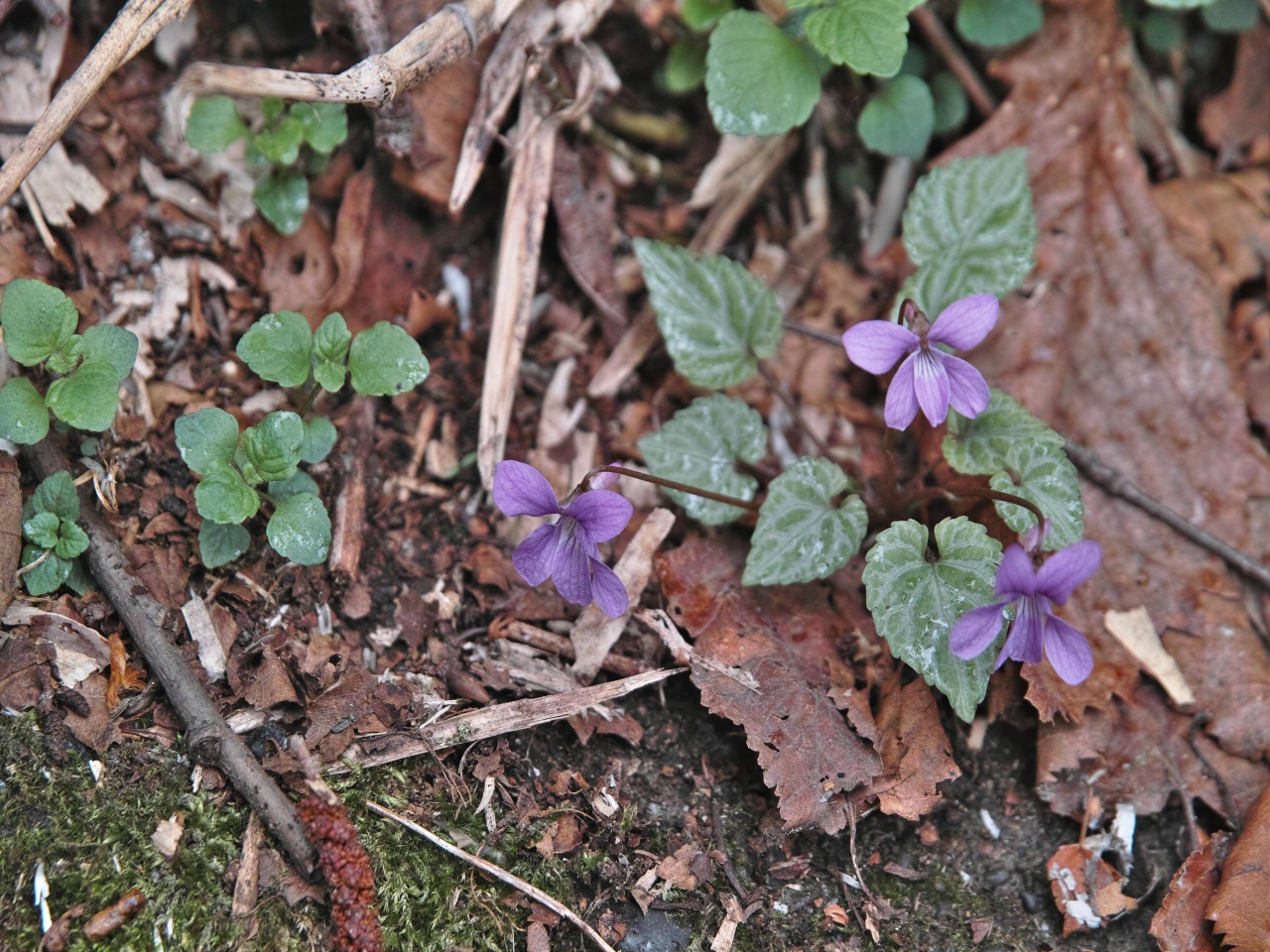 c0008948_13175980.jpg