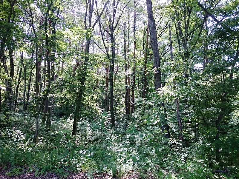 d0306248_21540713.jpg
