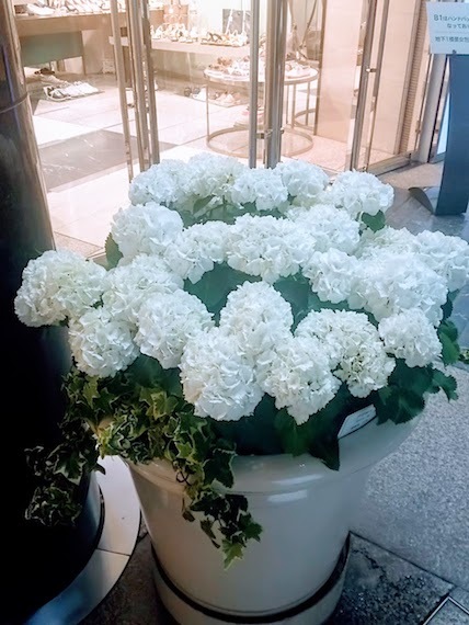 a0123450_20432098.jpg