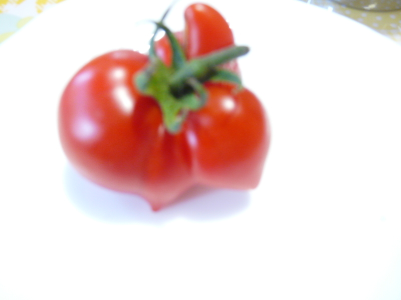 b0248954_17173491.jpg