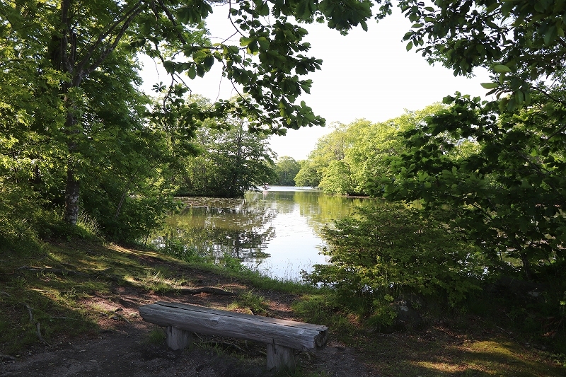 b0250154_07455008.jpg