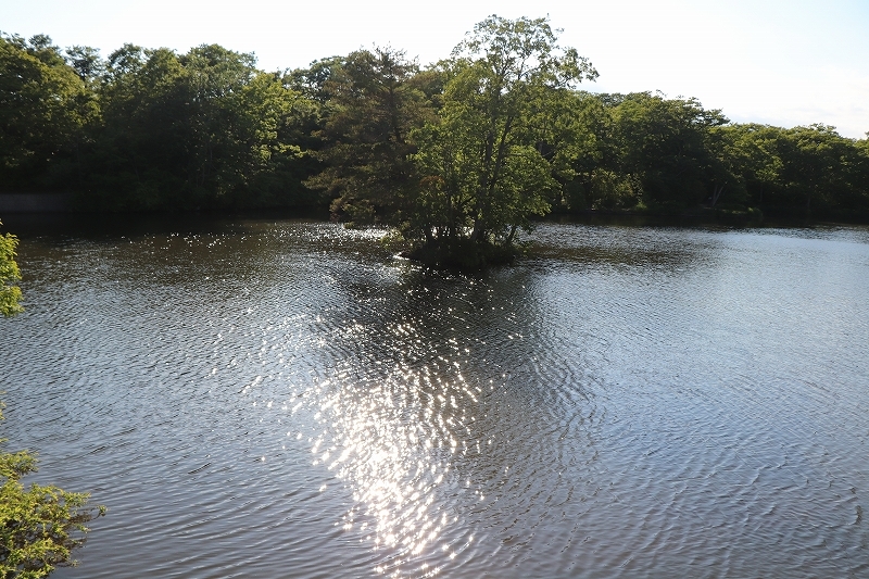 b0250154_22175034.jpg