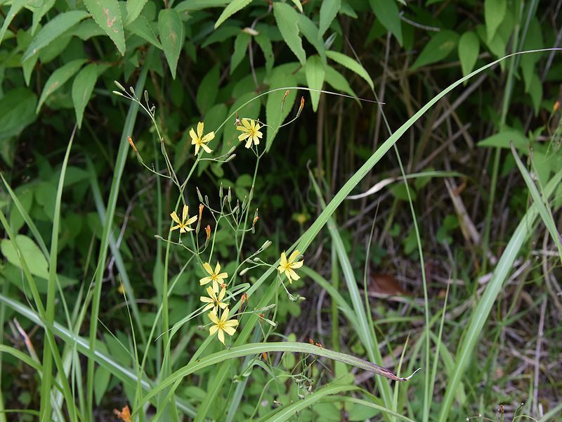 b0370155_17051859.jpg