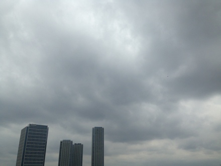 d0056455_16501611.jpg