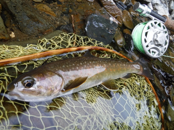 c0249658_15255154.jpg