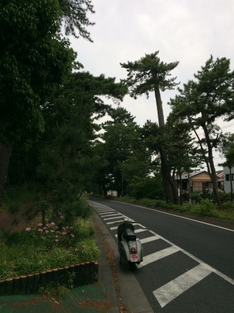 c0217759_21010316.jpg