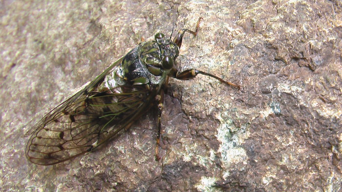 b0208961_16514126.jpg