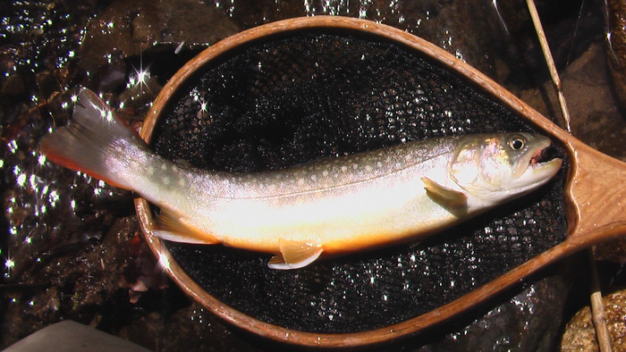b0208961_16515553.jpg