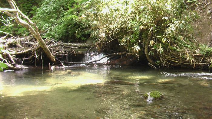 b0208961_165391.jpg