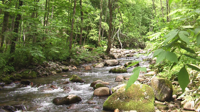 b0208961_16561849.jpg