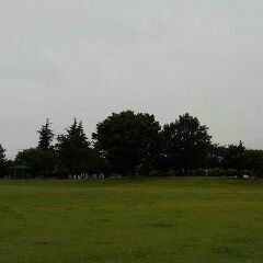 d0045362_22285950.jpg