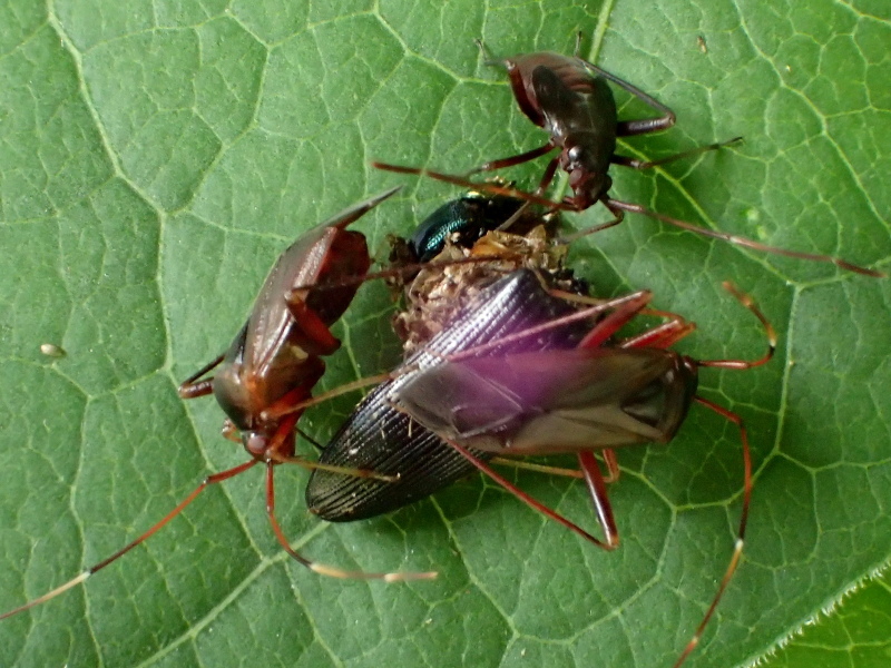 b0369164_20574166.jpg