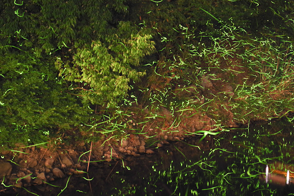 f0030064_10005773.jpg