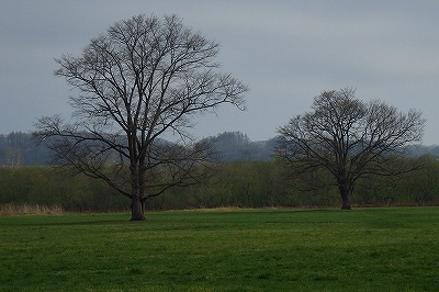 b0171771_05093110.jpg