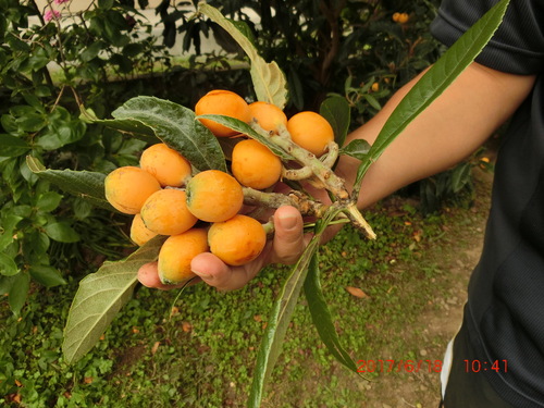 d0007071_2040373.jpg