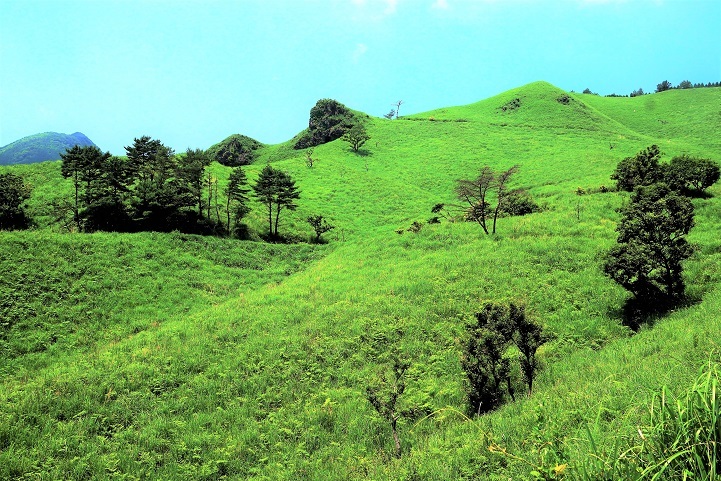 c0248473_20162759.jpg