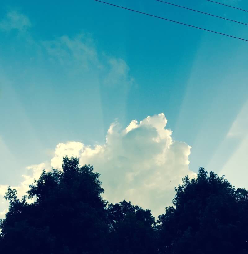 f0378773_17364242.jpg