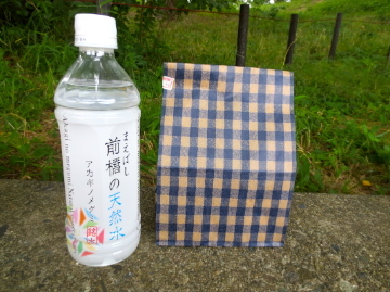 c0337875_22563830.jpg