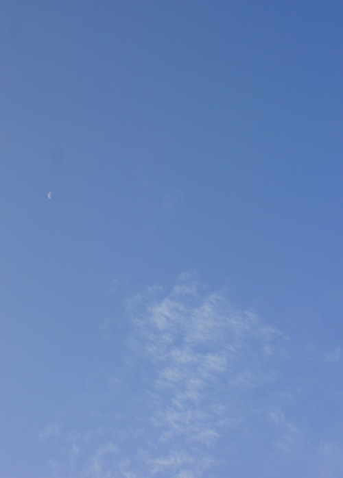 c0169176_822395.jpg