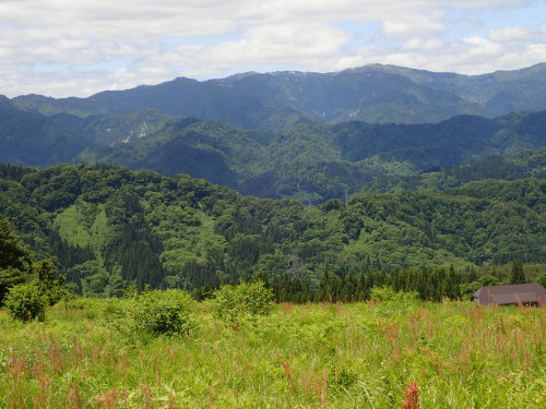 f0348480_20393463.jpg