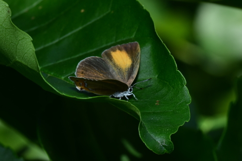 f0348480_22493443.jpg