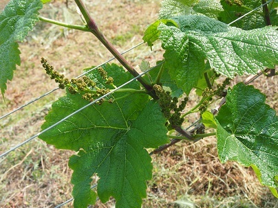 e0366081_21210827.jpg