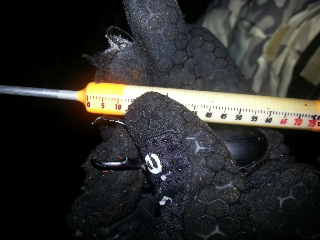 f0183484_20493207.jpg