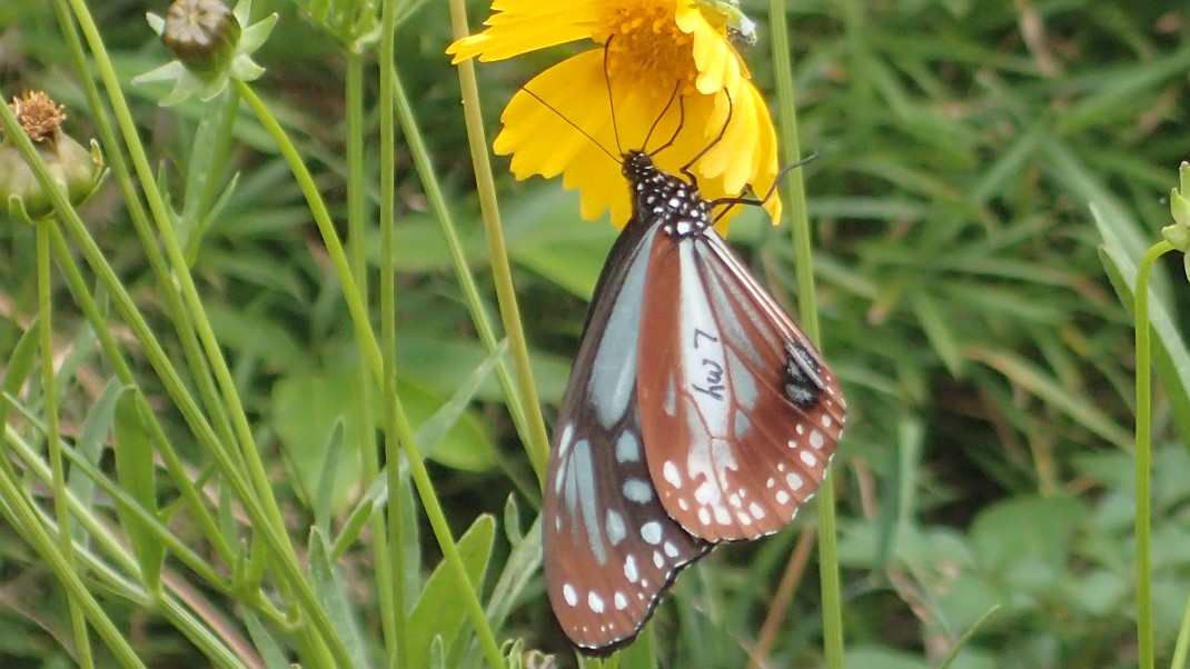 f0346184_178820.jpg