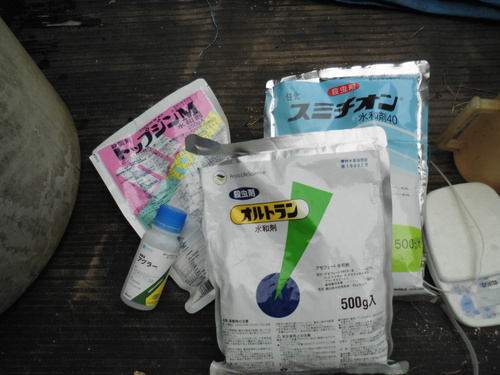 c0108198_15402644.jpg