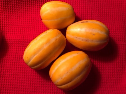 e0181901_22290773.jpg
