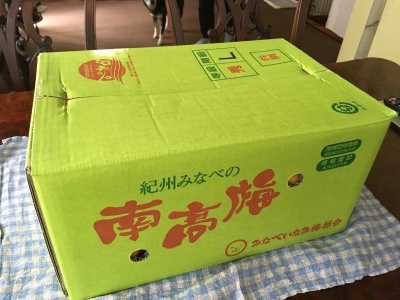 f0369014_09521742.jpg