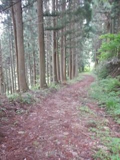 c0359615_21402364.jpg