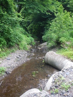 c0359615_21403561.jpg