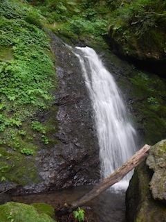 c0359615_21413907.jpg