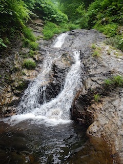 c0359615_21415295.jpg