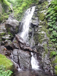 c0359615_21421812.jpg