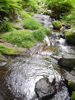 c0359615_21431252.jpg