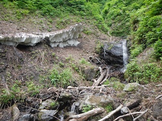 c0359615_21443290.jpg