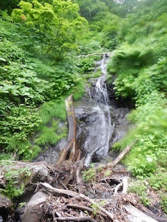c0359615_21454388.jpg